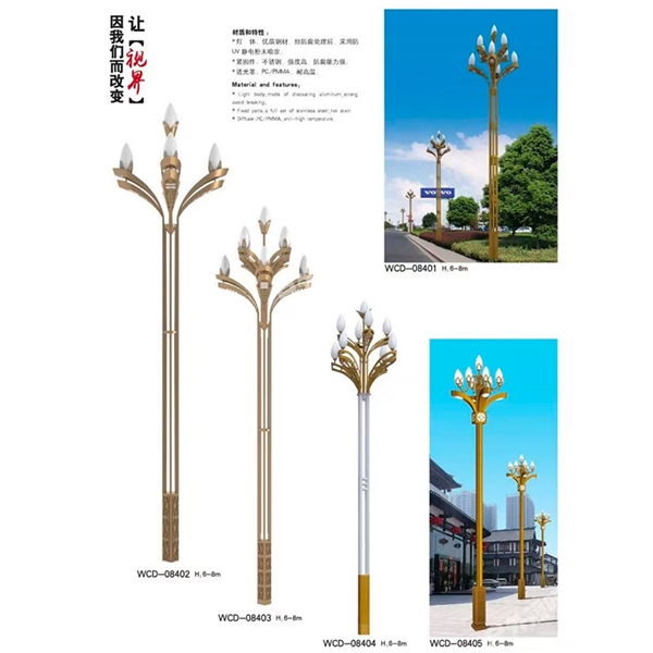 枣庄中华灯定制