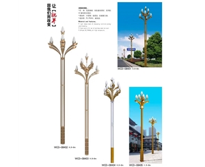 枣庄中华灯定制